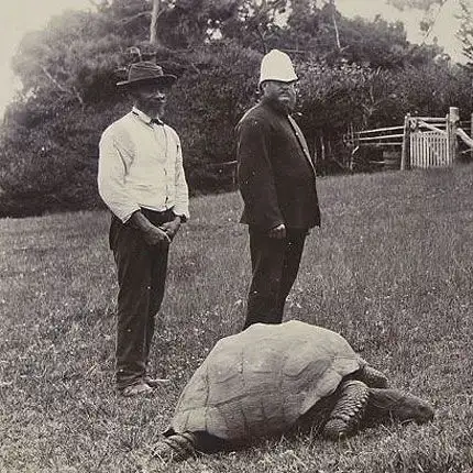 1900年前后，圣赫勒拿岛上的乔纳森与两位站在旁边的人。